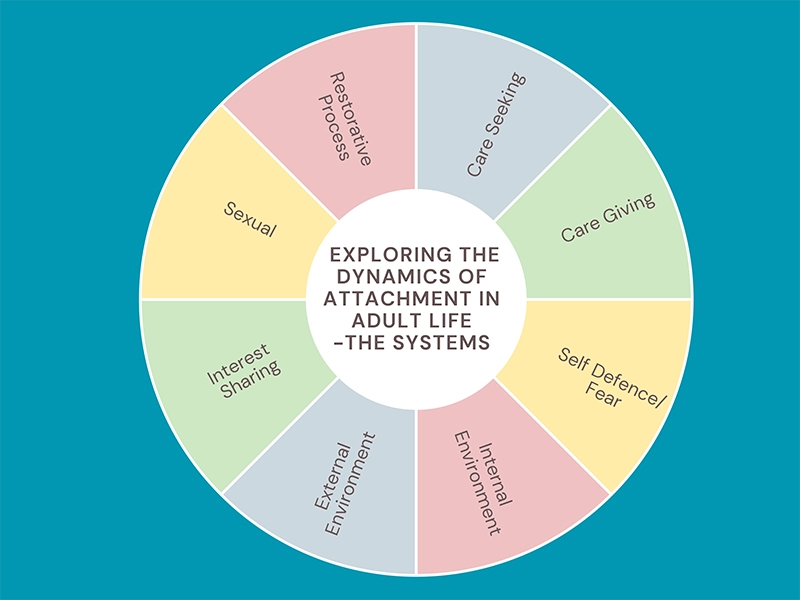 Colorful 8 Wheel of Life Diagram Graph Tina Abbott